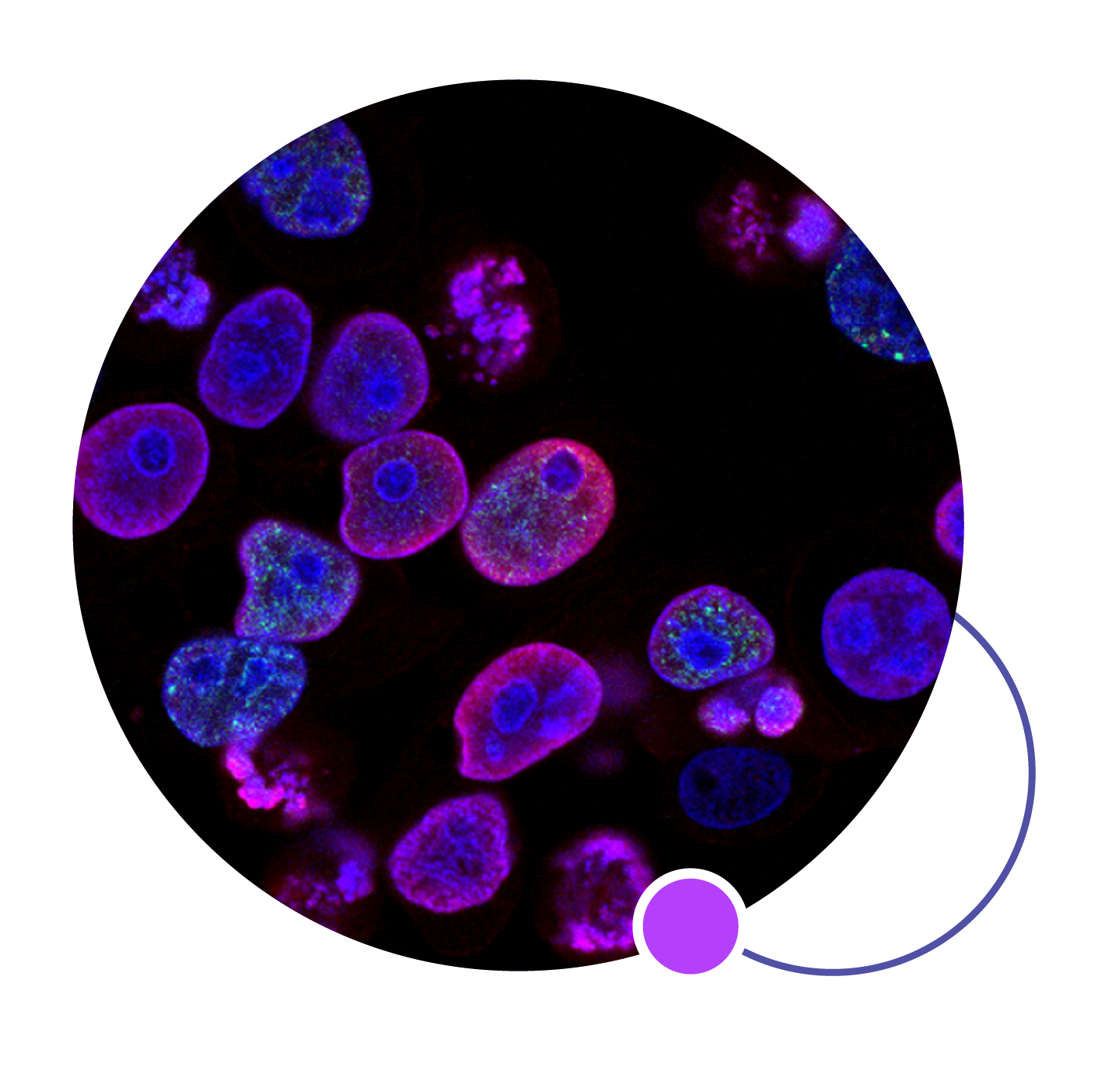 WP2_Mesa de trabajo 1 copia 18